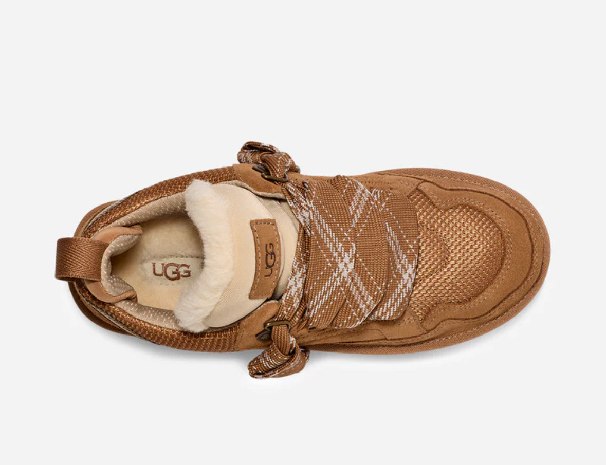 Uggs lowmel chestnut